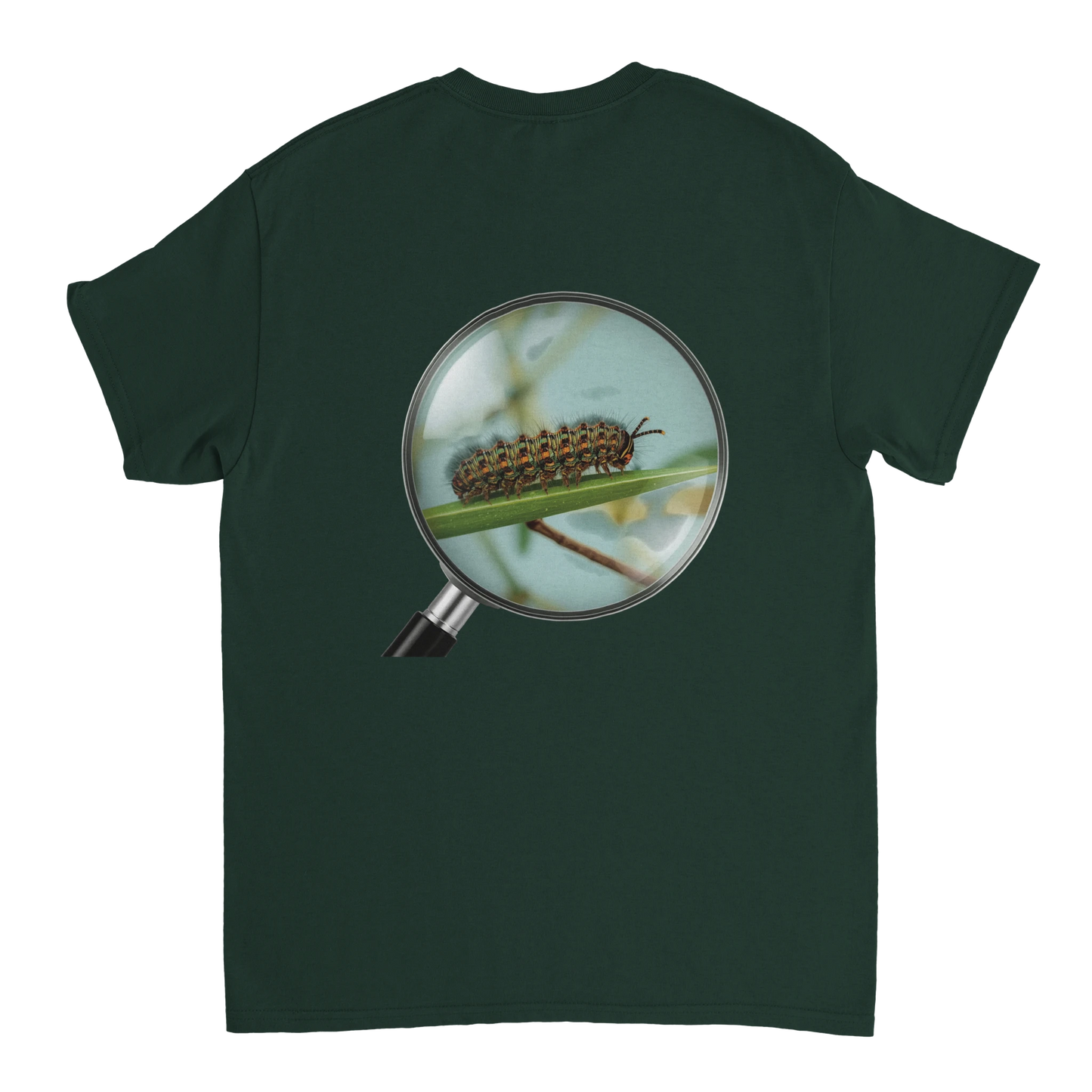 6a0c9efb-db7d-456f-9b05-3d0d661521f2