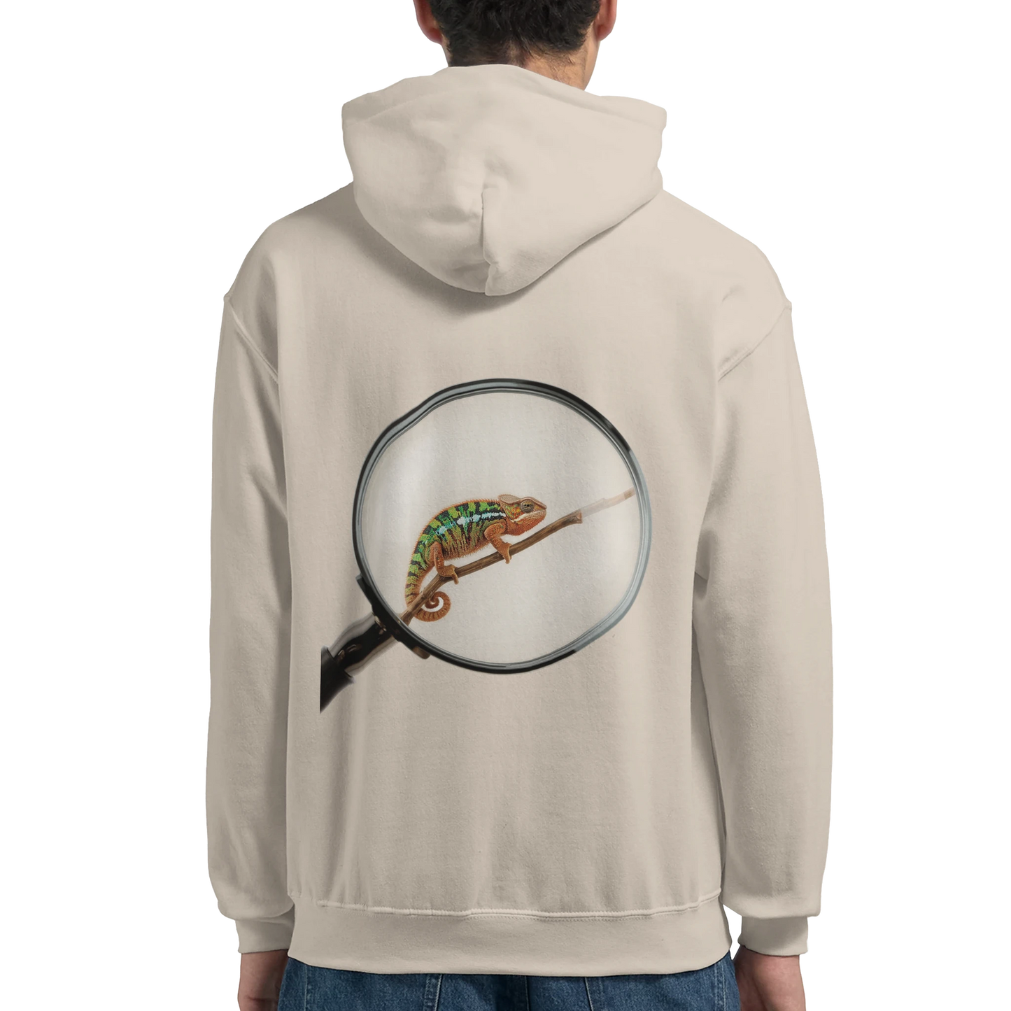 6dd8d960-c9cd-4362-a38a-3981f085a17c