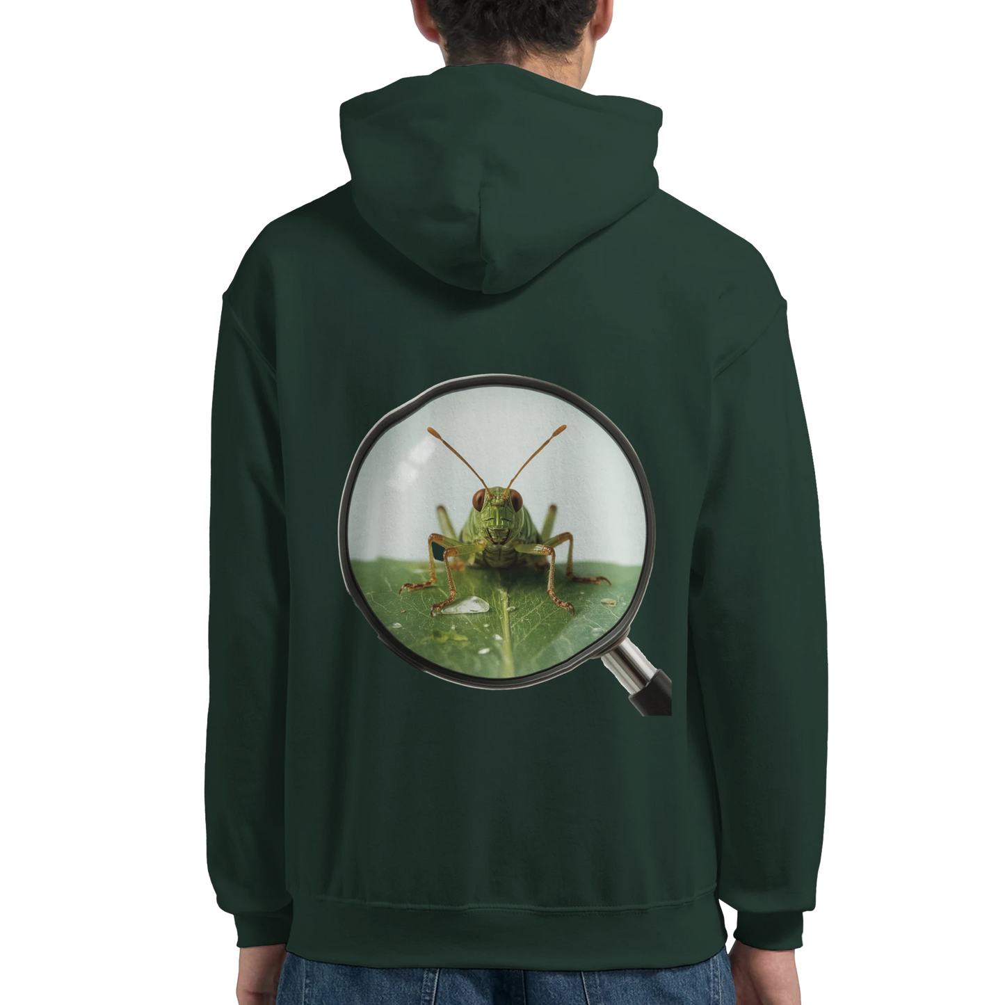 81fd9a33-dfd1-4557-ab85-feb4650d1c05