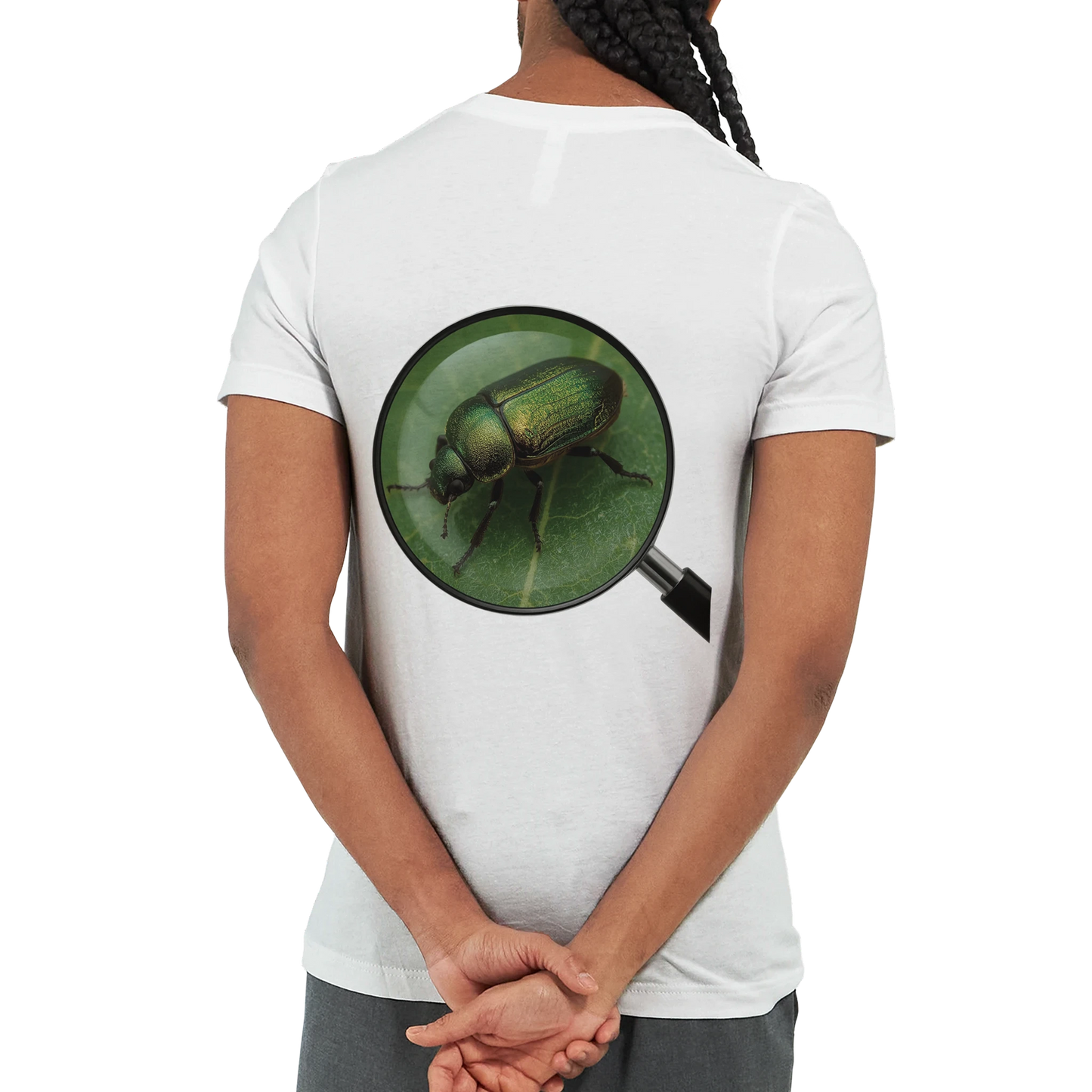 8c6080c1-59a3-4119-a6f0-04807300184f