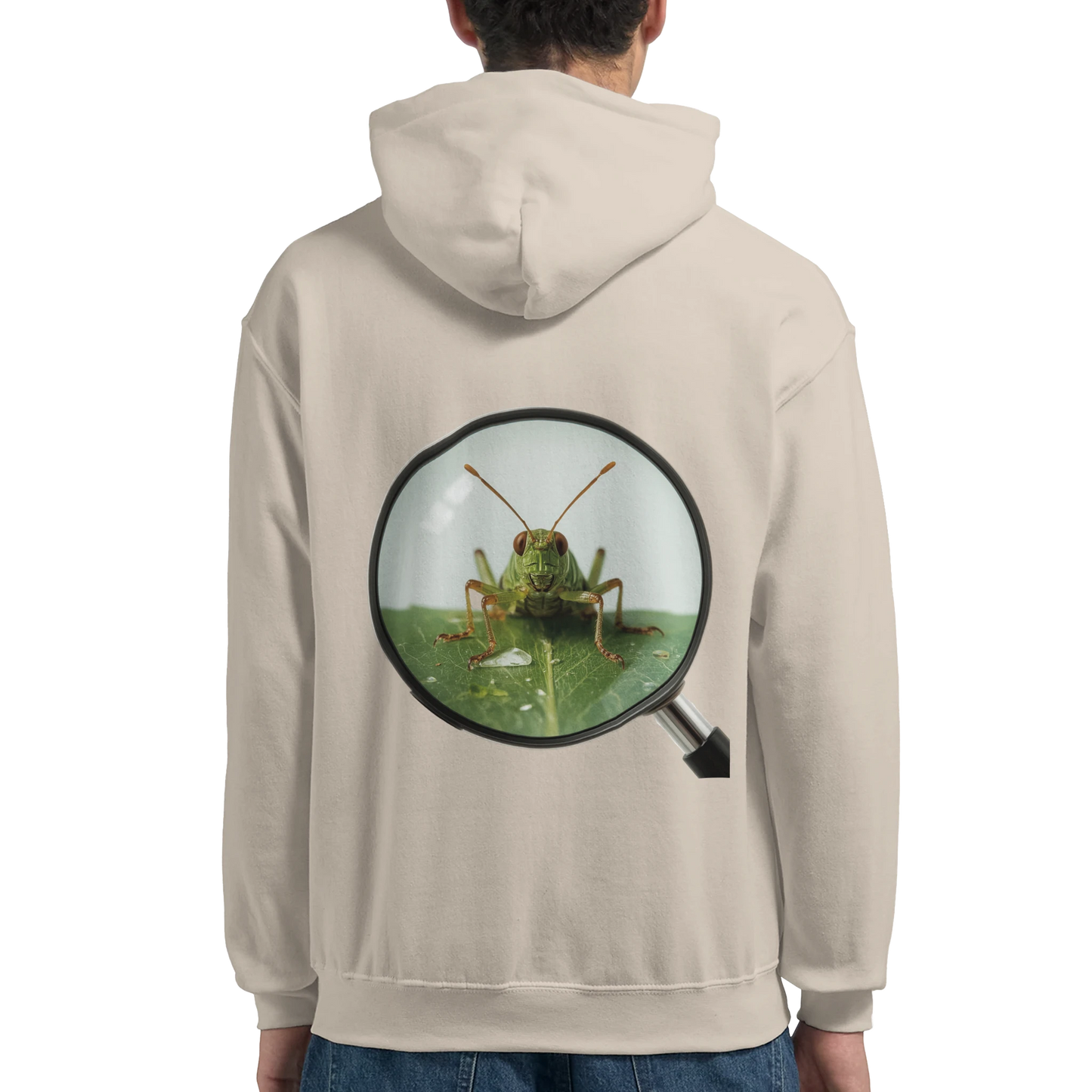 8df2cc11-8e7a-4445-93a6-9653ff473005