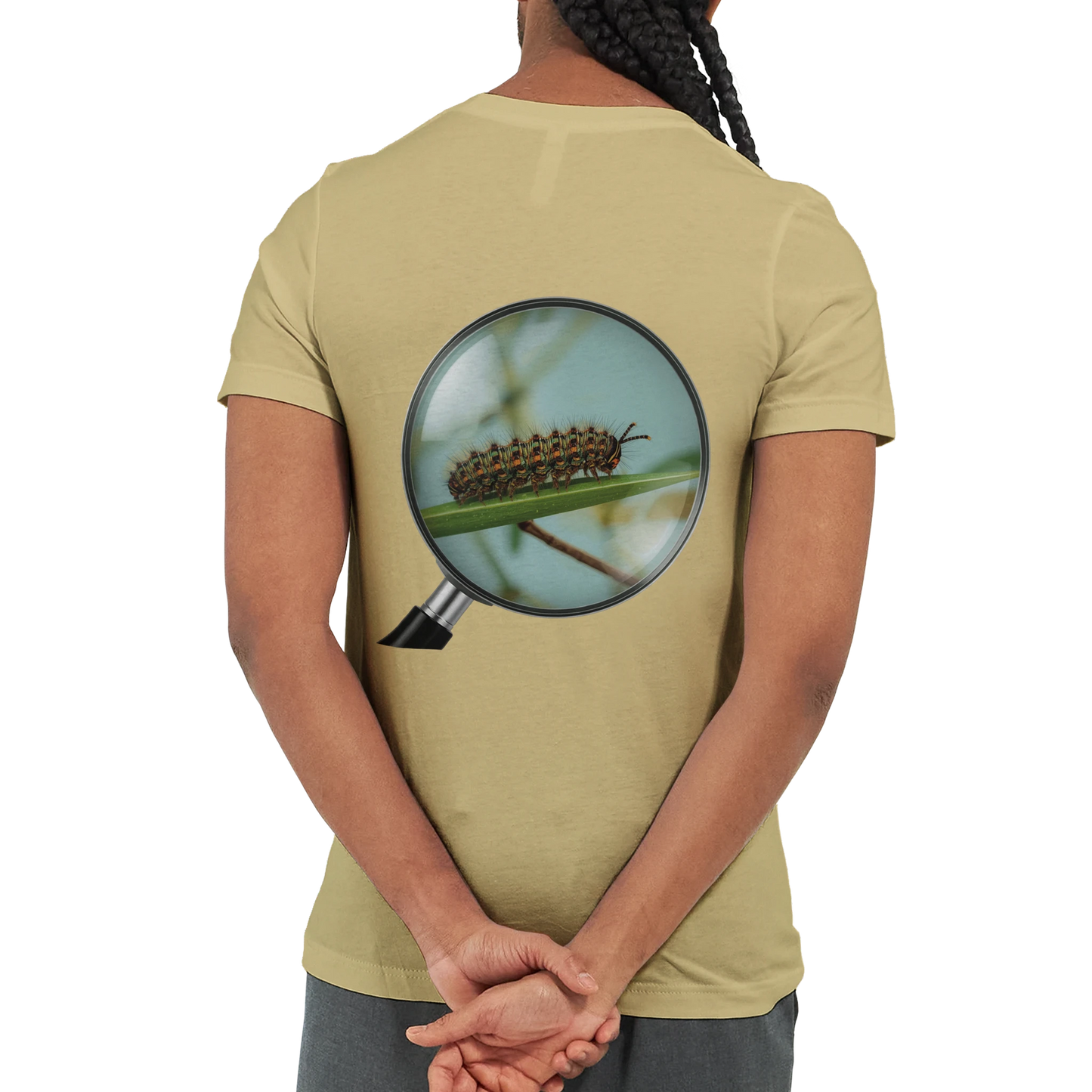 b0db87f3-a727-4abe-bcc8-47d152f02ae6