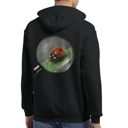 b26c6ac2-9822-4e13-8940-32b95dc98018