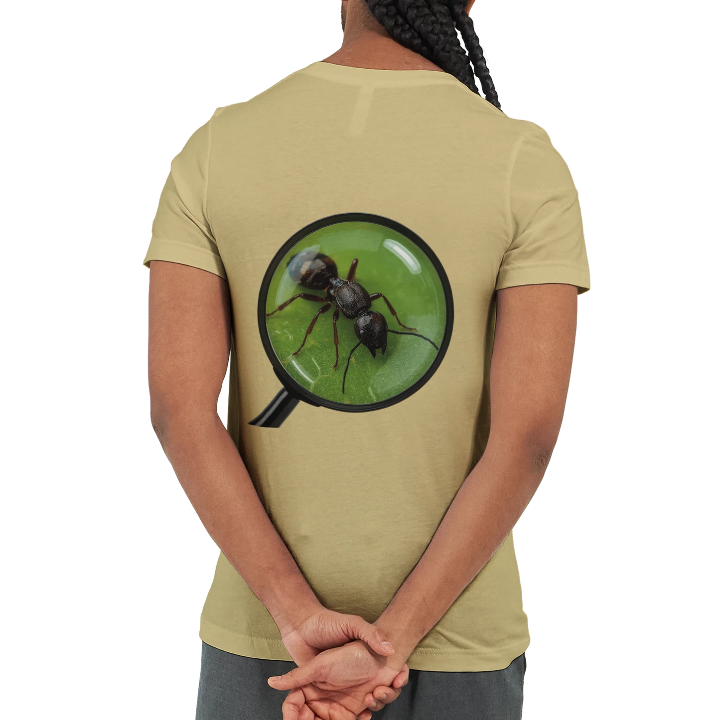 dcf80fa7-bab4-44e4-bc48-6be101860925