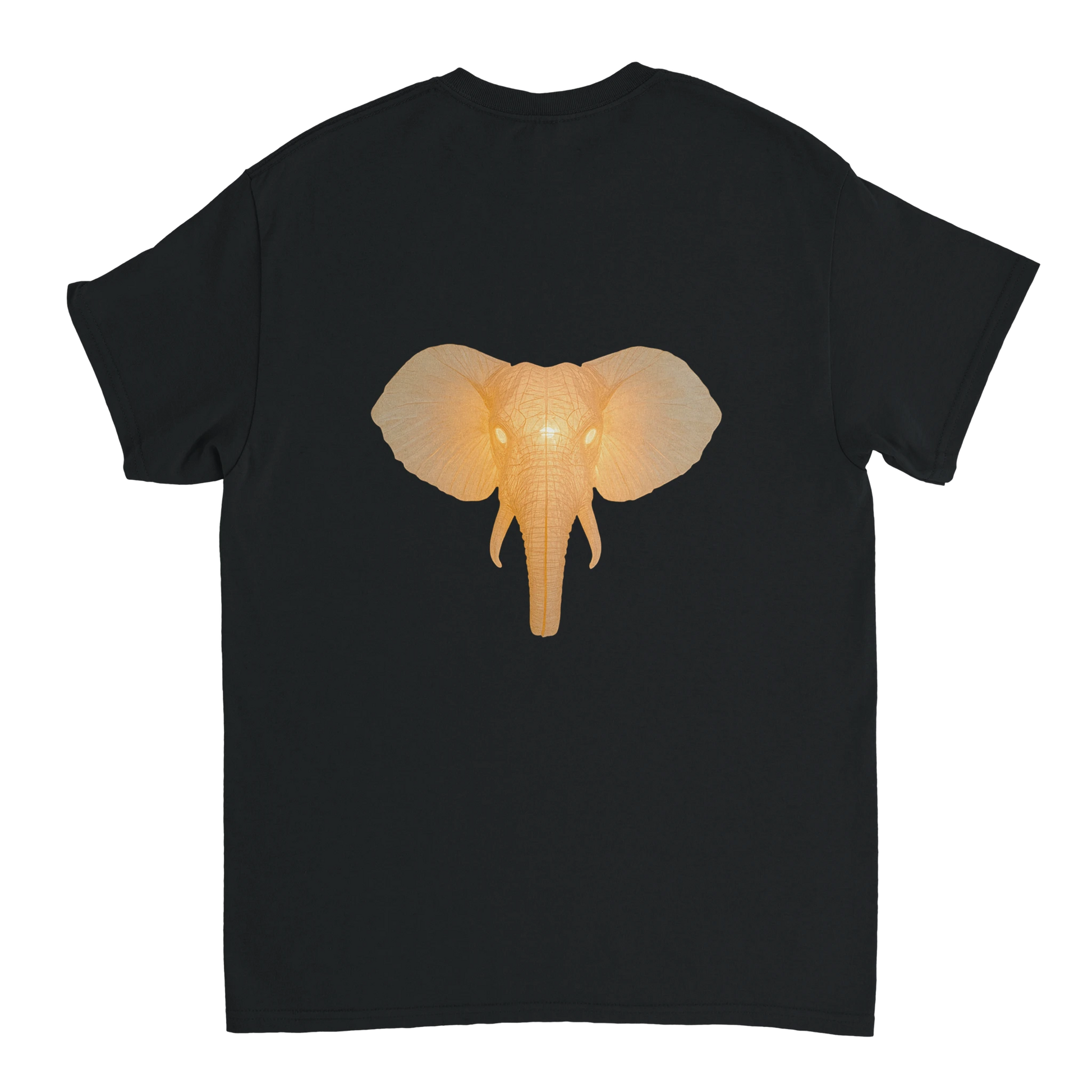 e0806a8d-6efc-4952-a00a-201dc192b984