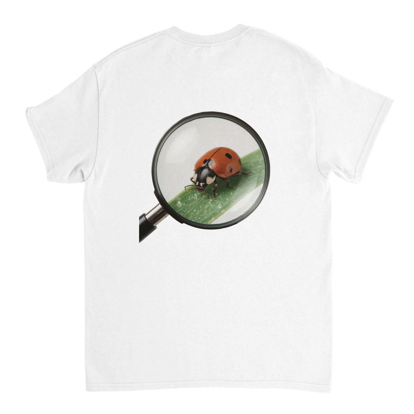 eb457a2f-daf3-45a8-b906-032a0f1a1789