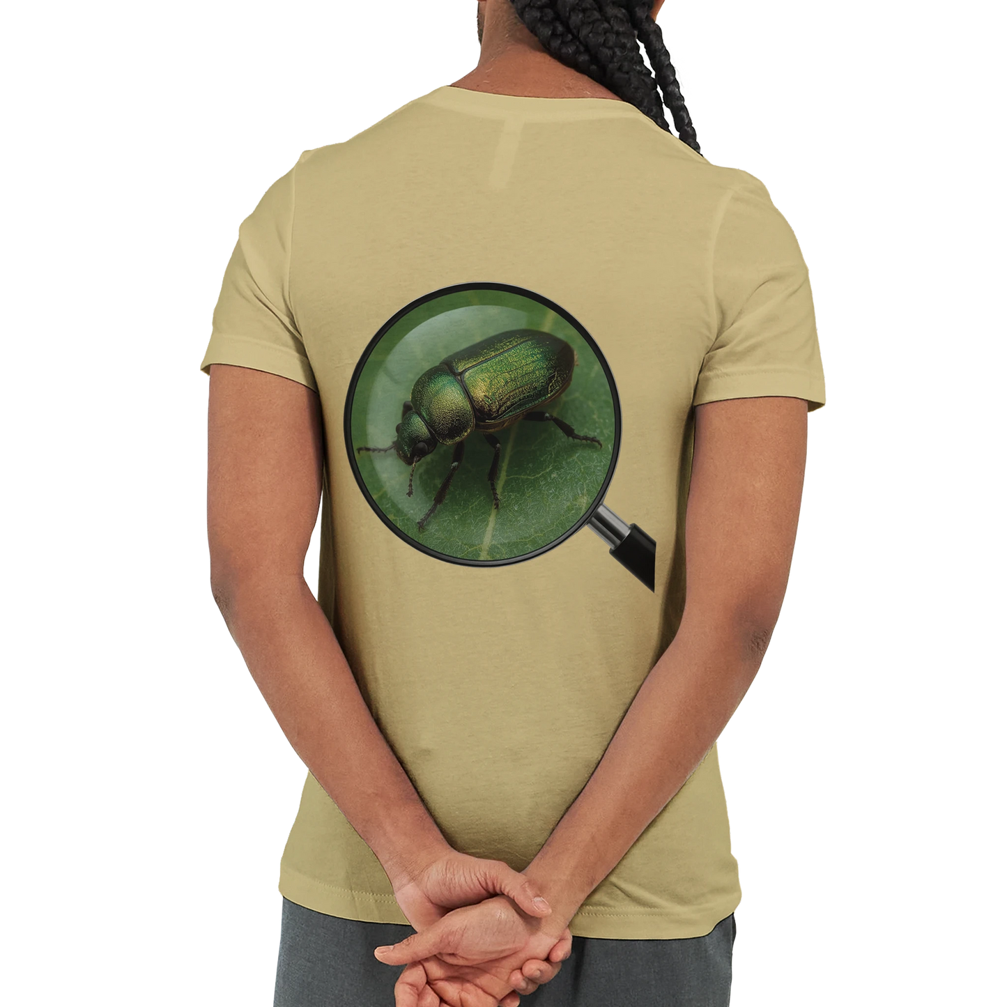 ff97906c-4b42-4fe9-99bd-a98ff276417e